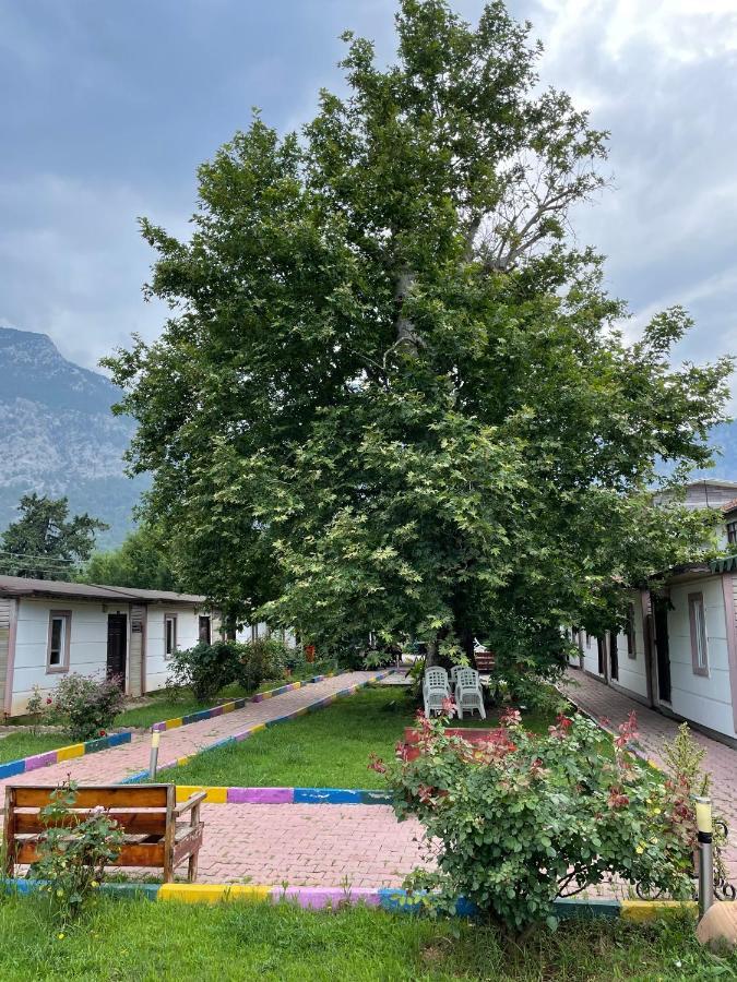 İpsos Hotel Beldıbı Kemer Dış mekan fotoğraf