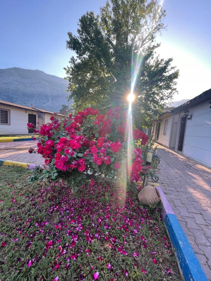 İpsos Hotel Beldıbı Kemer Dış mekan fotoğraf